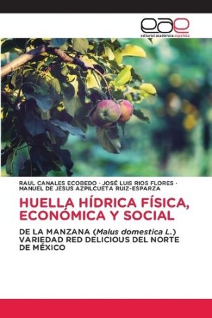 Huella Hídrica Física, Económica Y Social