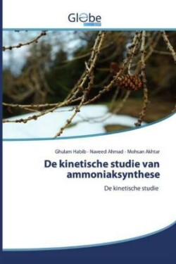 De kinetische studie van ammoniaksynthese