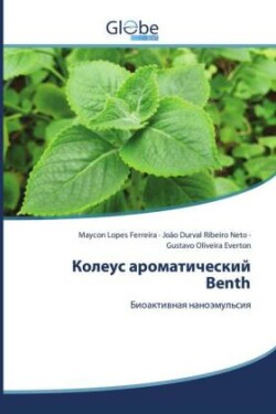 Koleus aromaticheskij Benth