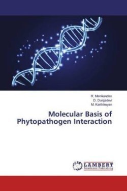 Molecular Basis of Phytopathogen Interaction