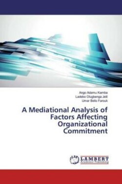 A Mediational Analysis of Factors Affecting Organizational Commitment