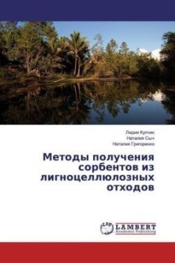 Metody polucheniq sorbentow iz lignocellüloznyh othodow
