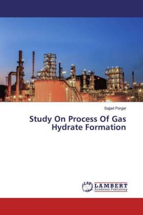 Study On Process Of Gas Hydrate Formation