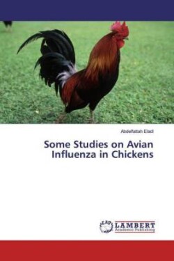 Some Studies on Avian Influenza in Chickens