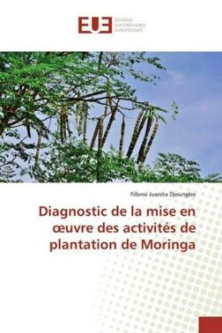 Diagnostic de la mise en oeuvre des activités de plantation de Moringa