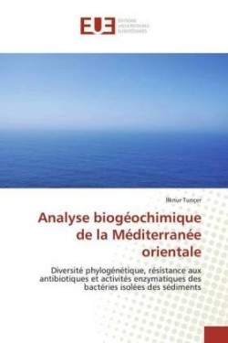 Analyse biogéochimique de la Méditerranée orientale