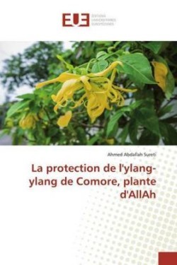 protection de l'ylang-ylang de Comore, plante d'AllAh