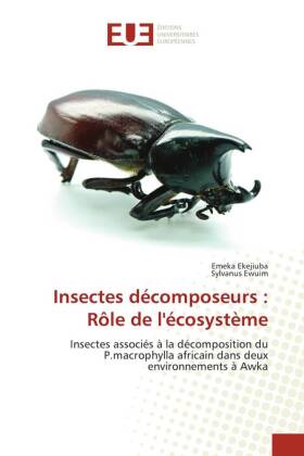 Insectes décomposeurs : Rôle de l'écosystème