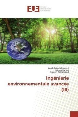 Ingénierie environnementale avancée (III)