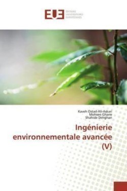 Ingénierie environnementale avancée (V)