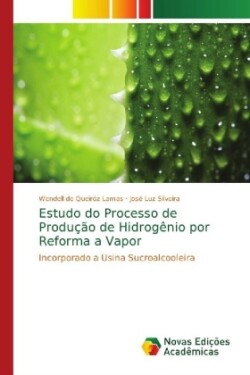 Estudo do Processo de Produção de Hidrogênio por Reforma a Vapor