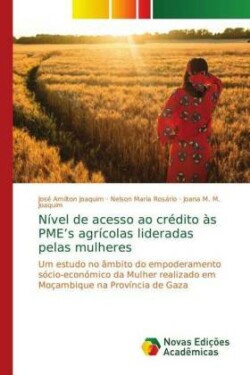 Nível de acesso ao crédito às PME's agrícolas lideradas pelas mulheres