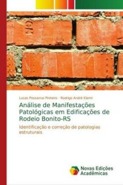 Análise de Manifestações Patológicas em Edificações de Rodeio Bonito-RS