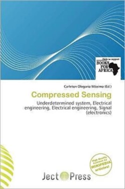 Compressed Sensing