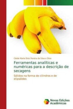 Ferramentas analíticas e numéricas para a descrição de secagens