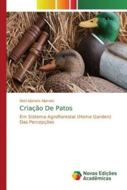 Criação De Patos