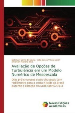 Avaliação de Opções de Turbulência em um Modelo Numérico de Mesoescala