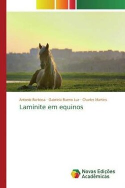 Laminite em equinos