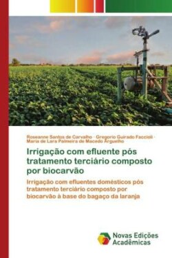 Irrigação com efluente pós tratamento terciário composto por biocarvão