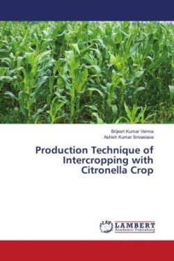 Production Technique of Intercropping with Citronella Crop