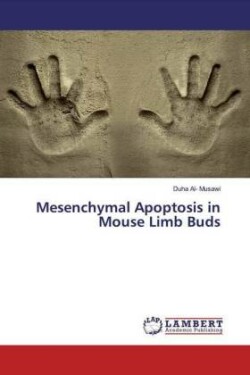 Mesenchymal Apoptosis in Mouse Limb Buds