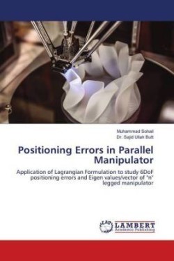 Positioning Errors in Parallel Manipulator