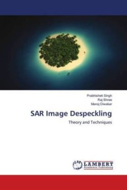SAR Image Despeckling