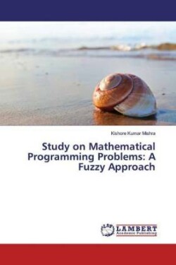 Study on Mathematical Programming Problems: A Fuzzy Approach