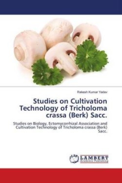 Studies on Cultivation Technology of Tricholoma crassa (Berk) Sacc.