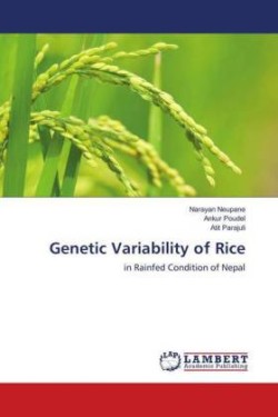 Genetic Variability of Rice