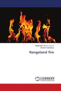 Rangeland fire