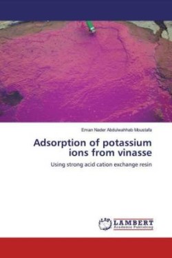 Adsorption of potassium ions from vinasse