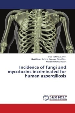Incidence of fungi and mycotoxins incriminated for human aspergillosis