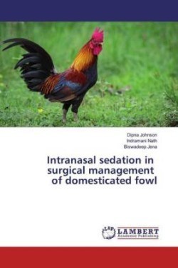 Intranasal sedation in surgical management of domesticated fowl