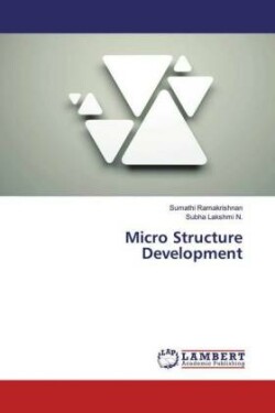 Micro Structure Development