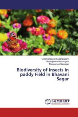 Biodiversity of insects in paddy Field in Bhavani Sagar