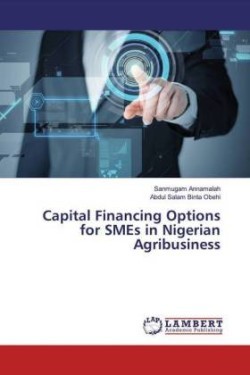 Capital Financing Options for SMEs in Nigerian Agribusiness