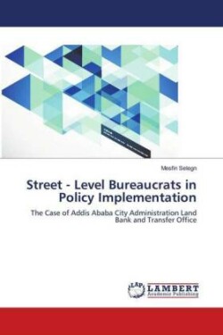 Street - Level Bureaucrats in Policy Implementation
