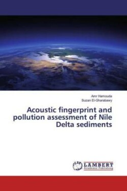 Acoustic fingerprint and pollution assessment of Nile Delta sediments
