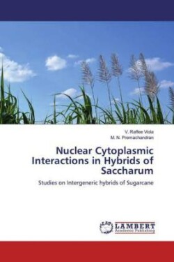 Nuclear Cytoplasmic Interactions in Hybrids of Saccharum