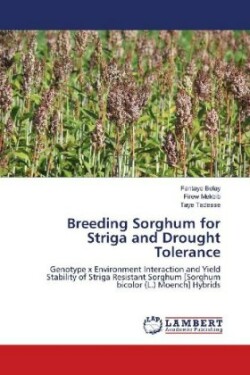 Breeding Sorghum for Striga and Drought Tolerance