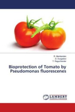 Bioprotection of Tomato by Pseudomonas fluorescenes