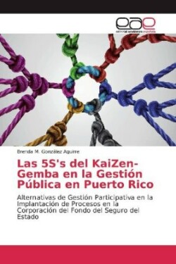 Las 5S's del KaiZen-Gemba en la Gestión Pública en Puerto Rico