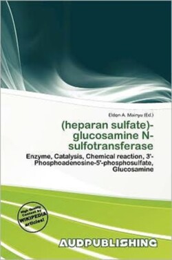 (Heparan Sulfate)-Glucosamine N-Sulfotransferase