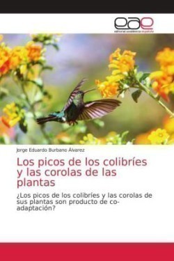picos de los colibríes y las corolas de las plantas