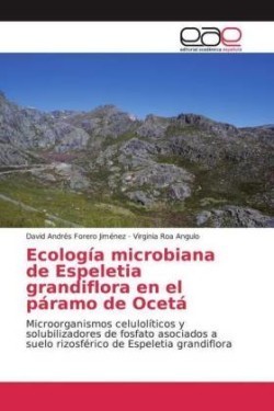 Ecología microbiana de Espeletia grandiflora en el páramo de Ocetá
