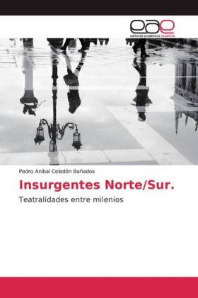 Insurgentes Norte/Sur.