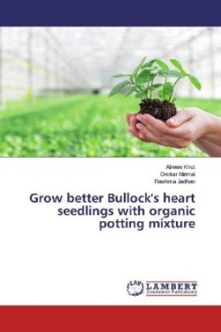 Grow better Bullock's heart seedlings with organic potting mixture