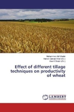 Effect of Different Tillage Techniques on Productivity of Wheat