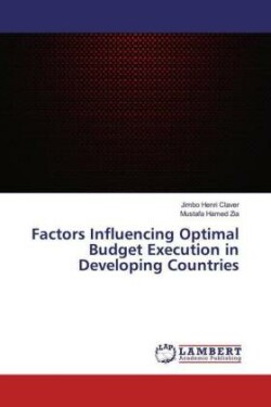 Factors Influencing Optimal Budget Execution in Developing Countries